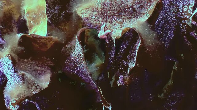 An ethereal glimpse beneath the waves shows seaweed swaying gently. A tiny sea star rests on the seabed, perhaps searching for food amongst the aquatic plants.