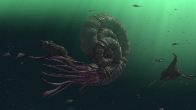 4k 3d animation of Two Kronosaurus hunt giant ammonites in a school of fish in a prehistoric ocean. Detailed reconstruction of ancient marine life and underwater atmosphere