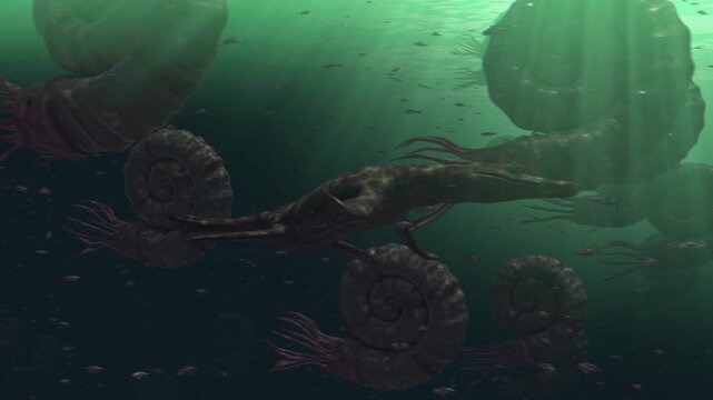 4K 11-second underwater 3d animation of a Kronosaurus swimming among giant ammonites in a prehistoric sea. Detailed reconstruction of ancient marine life and underwater atmosphere