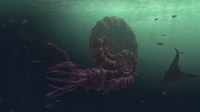 4k 3d animation of Two Kronosaurus hunt giant ammonites in a school of fish in a prehistoric ocean. Detailed reconstruction of ancient marine life and underwater atmosphere