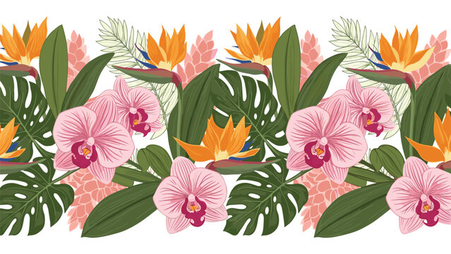 Horizontal border of tropical flowers including pink orchids and orange bird of paradise with monstera leaves on white background.