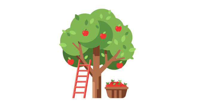 Apple Tree Harvest with Ladder and Basket Vector Illustration, Flat Design Style Graphic for Autumn Orchard Concept
