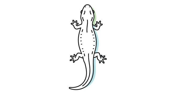 Minimalist line drawing of a lizard from a top-down view featuring a subtle green shadow effect on a white background.