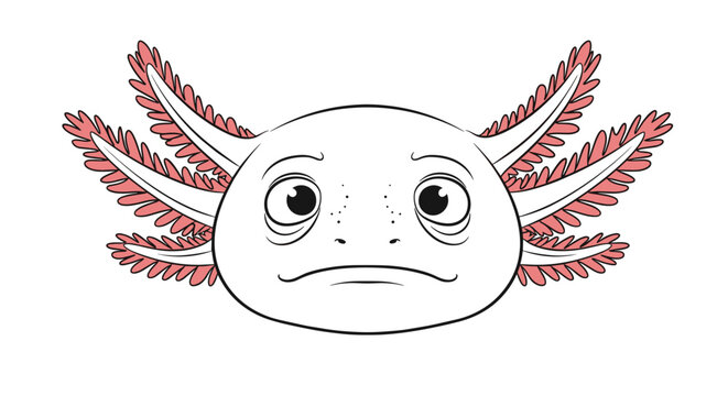 Simple line art illustration of an axolotl face with a sad expression drooping gills and large dark eyes on a white background.