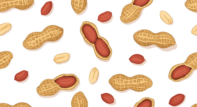 Seamless pattern of roasted peanuts in shells and whole kernels scattered randomly over a clean white background.