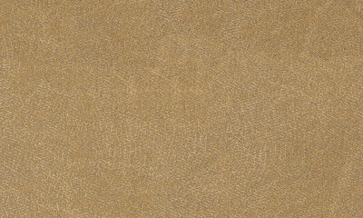 Fototapeta premium Tan Leather Grain Texture