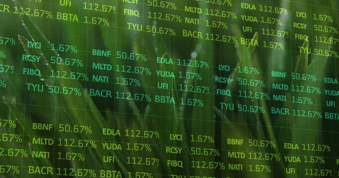 Showing ticker codes and percent values on green overlay over close-up plant foliage, grid lines