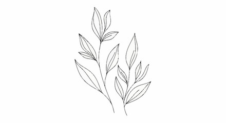 Fototapeta premium Minimalist Line Art Drawing of Delicate Plant Stems with Leaves.