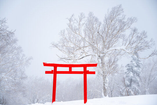 Japanese Torii Prayer Gate In Snow