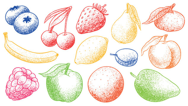 Fresh fruits drawing in dot work style. Colourful illustration for modern usage. Mango and strawberry berries and plum, bananas and other.