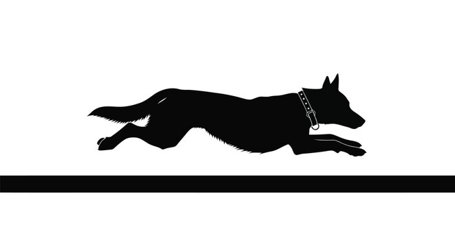 Black dog silhouette running with collar