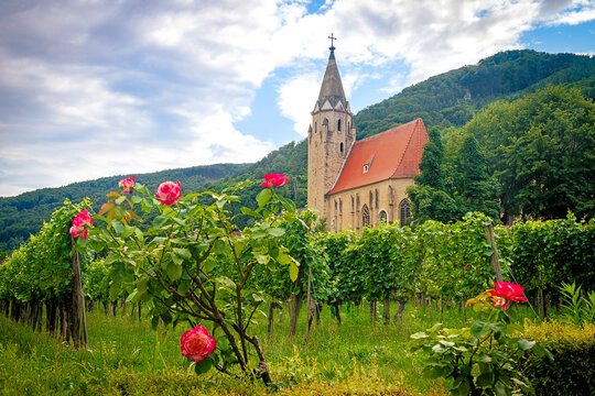 Sigismund chapel, roses and vineyards in Schwallenbach on Danube river in the Wachau region, Upper Austria, Austria