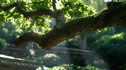 Fototapeta premium Sunlit Tree Branch with Lush Green Leaves in a Serene Nature Setting During Daytime