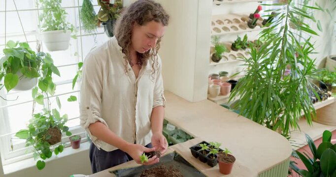 Nonbinary planter checking tray, lifting sprout, teasing roots, potting to repot at balcony