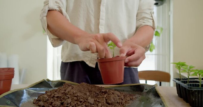 African American nonbinary transplanting seedling into brown pot on mat with soil and seed tray
