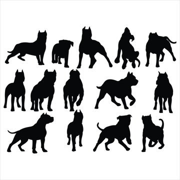 set of pitbull silhouettes