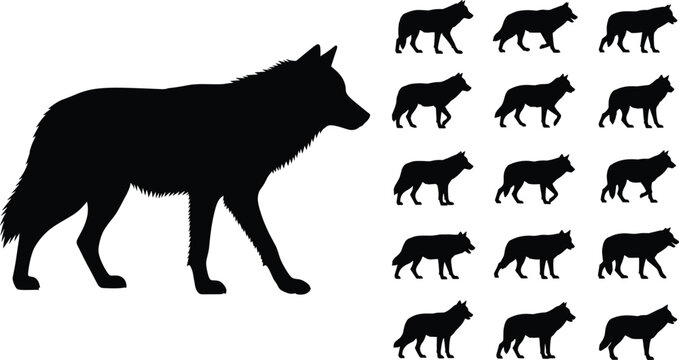 Black wolf silhouette walking side view collection, wild gray wolf standing profile outlines, predator animal silhouettes set isolated on white background for nature wildlife design