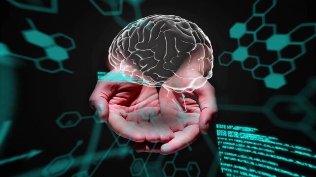 Vertical video: Entering cupped hands holding holographic brain in dark studio, showing neural data