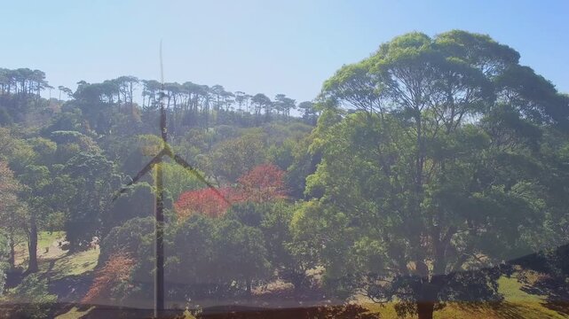 Large canopy tree occupying right as turbine spinning on hillside with reflection band, copy space