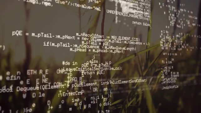 Translucent code block floating and moving across low field blades at plant height with HelloWorld