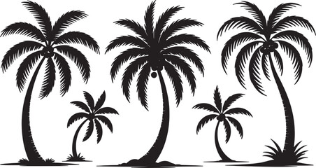 Fototapeta premium Tropical palm tree silhouettes on transparent background different sizes and shapes vector illustration.