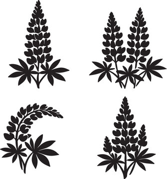 lupine flowers set silhouette vector designs