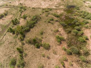 Naklejka premium Dry grassy land with scattered bushes and dirt paths in the open field