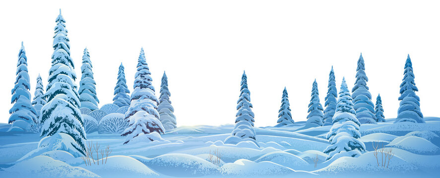 Winter landscape, with standing in the foreground snow-covered fir trees illuminated in evening or morning light. Raster Illustration.