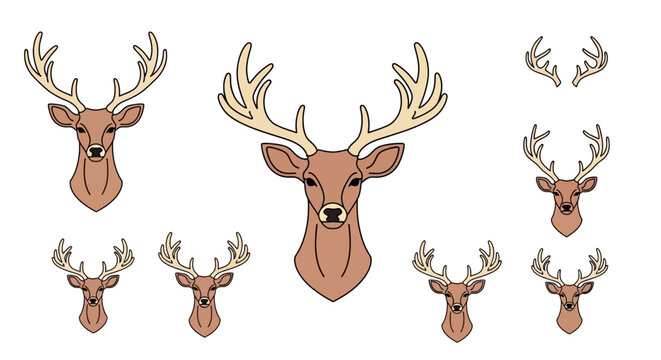 Deer Heads with Antlers Illustration.