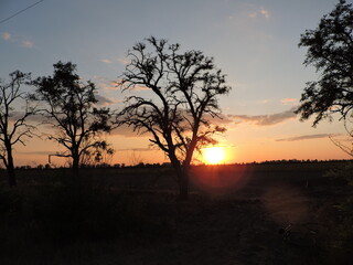 Fototapeta premium sunset in africa