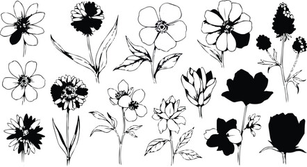 Set of flower silhouettes and black and white floral designs with leaves and butterflies © ANASAL