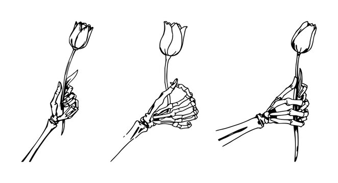 Skeleton hand set with rough sketchy illustration of a skeleton hand grasping a single tulip featuring skeleton, hand, tulip with white background and sketchy style