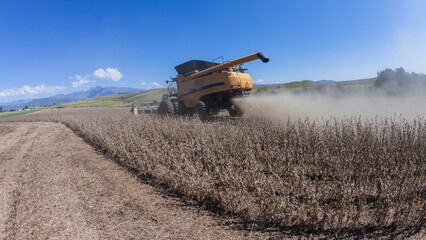 Fototapeta premium Agriculture Farm Harvester Machine cutting food crops in scenic mountain farmland landscape 