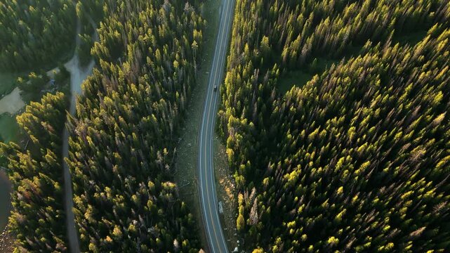 Drone footage captures a vehicle traveling along Beartooth Highway in Montana surrounded by dense evergreen forest. Golden sunlight illuminates the treetops as the road curves through wilderness.