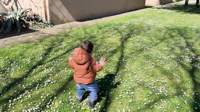 Toddler learning to walk first steps on a sunny daisy lawn