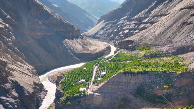 Cinematic aerial Reveal Shot of Lush green high-altitude apple orchard farm on banks of spiti river in Himalayan cold desert, India