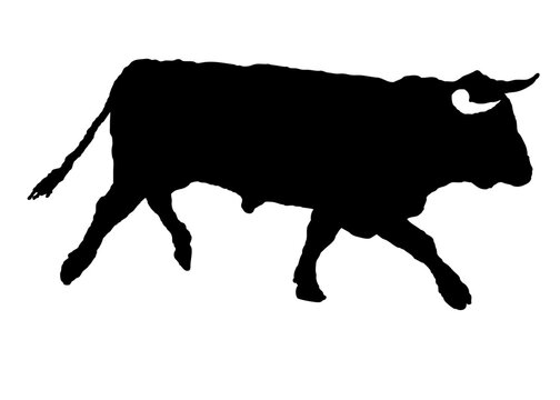 toro