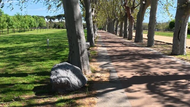 path surrounded by trees, parc central, Santa Perpetua, 4k