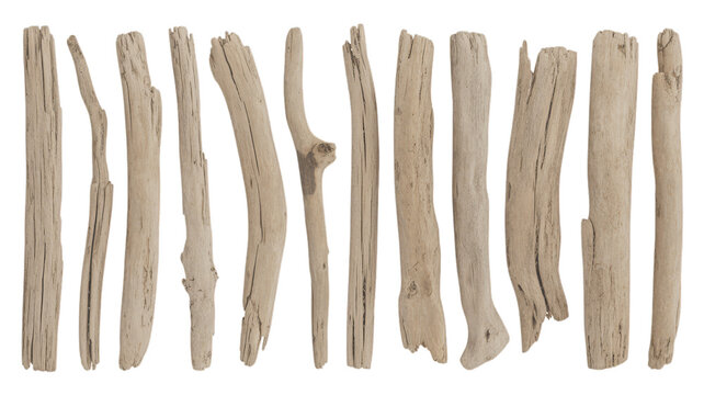 Collection of various driftwood sticks isolated on transparent background