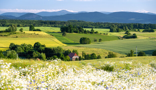 amazing landscape of summer in Kaczawskie mountains in Lower Silesia in Poland