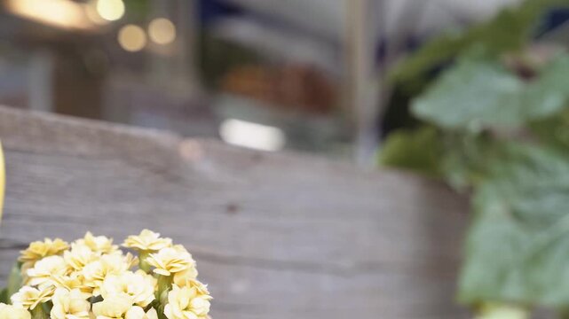 Brezeln in Auslage eines Foodtrucks im bayerischen Biergarten mit traditioneller Speisekarte und Blumendekoration