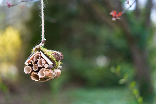 A handmade insect hotel constructed from bundled hollow bamboo tubes hangs suspended from a tree branch by natural jute twine. The eco-friendly habitat features various sizes of reed tubes and