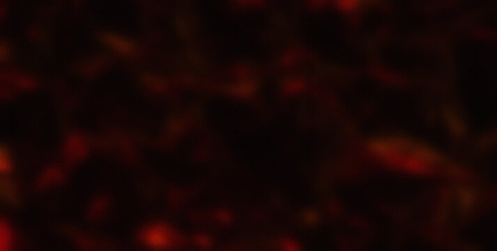 Abstract Texture and Pattern with a Touch of Gold
