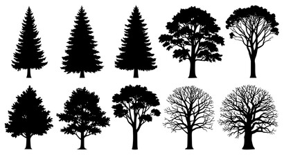 Fototapeta premium Forest tree silhouettes vector collection with pine fir and deciduous trees