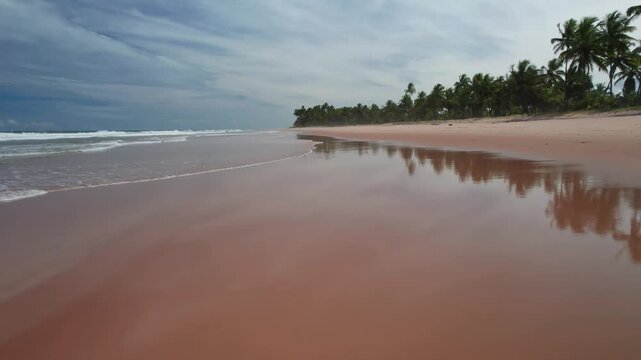 Taipu de Fora, Bahia, Brazil - 9 April 2026: Tropical beach with palm trees and ocean waves