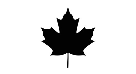 Naklejka premium A striking black maple leaf design presented as a silhouette