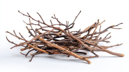 Fototapeta premium Dry Twigs Branches Pile on White Surface