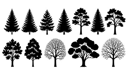 Tree silhouette vector set with coniferous evergreen and deciduous forest trees © MstNadiya