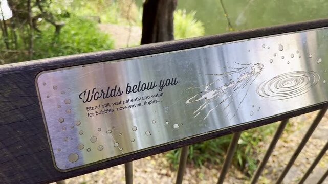 platypus viewing platform at broken river, Eungella, Queensland, Ornithorhynchus anatinus, a semiaquatic, egg laying mammal endemic to eastern Australia, including Tasmania.