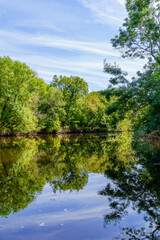 Fototapeta premium Ropotamo River Nature Reserve